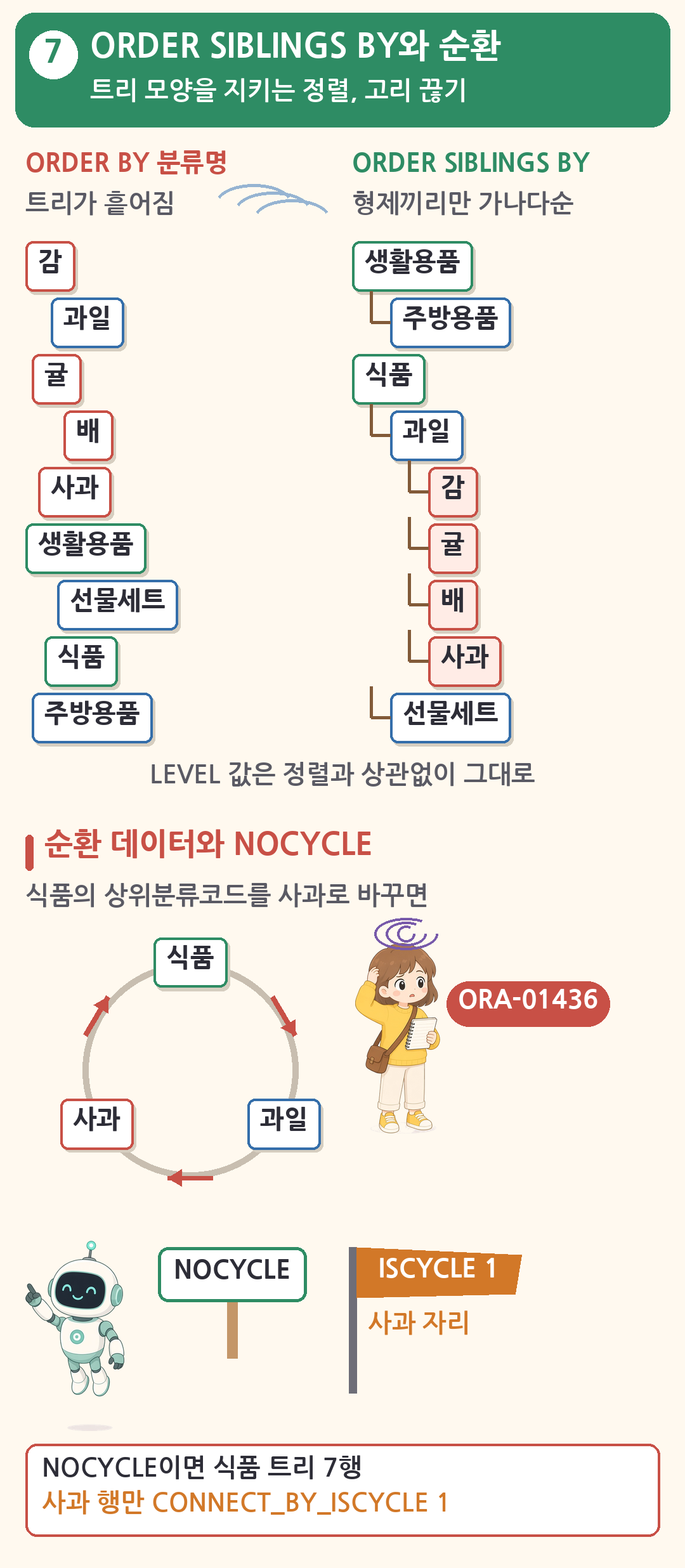 ORDER BY는 트리 모양을 깨고 ORDER SIBLINGS BY는 형제끼리만 가나다순으로 정렬. 식품, 과일, 사과가 고리로 이어진 순환 데이터는 NOCYCLE 없이 ORA-01436, NOCYCLE이면 사과 행이 ISCYCLE 1