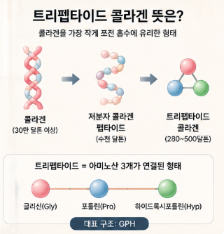 트리펩타인콜라겐-효능-뜻-부작용-가루-분말-추천-가격