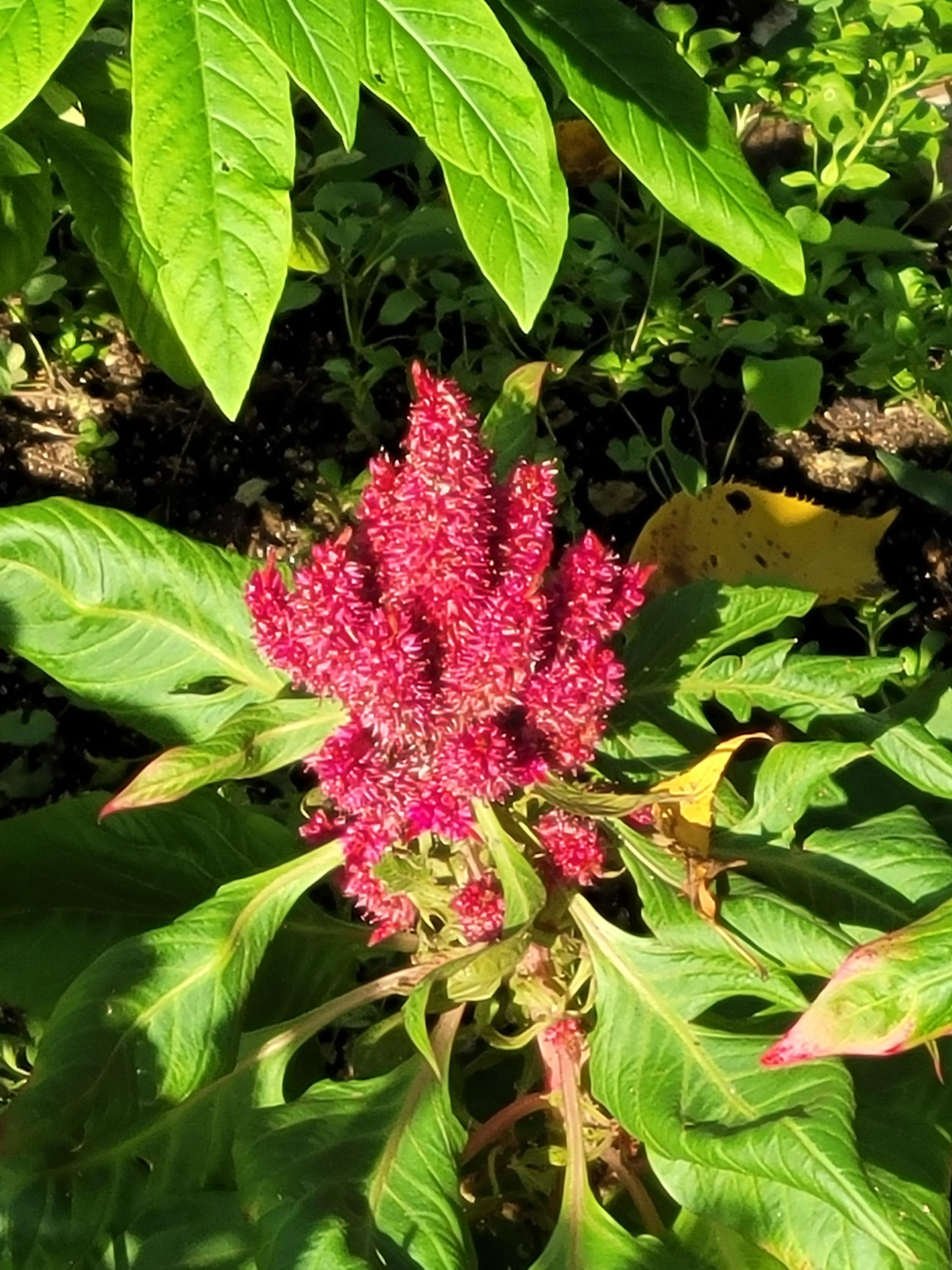 일상 속 꽃 한 송이의 힘