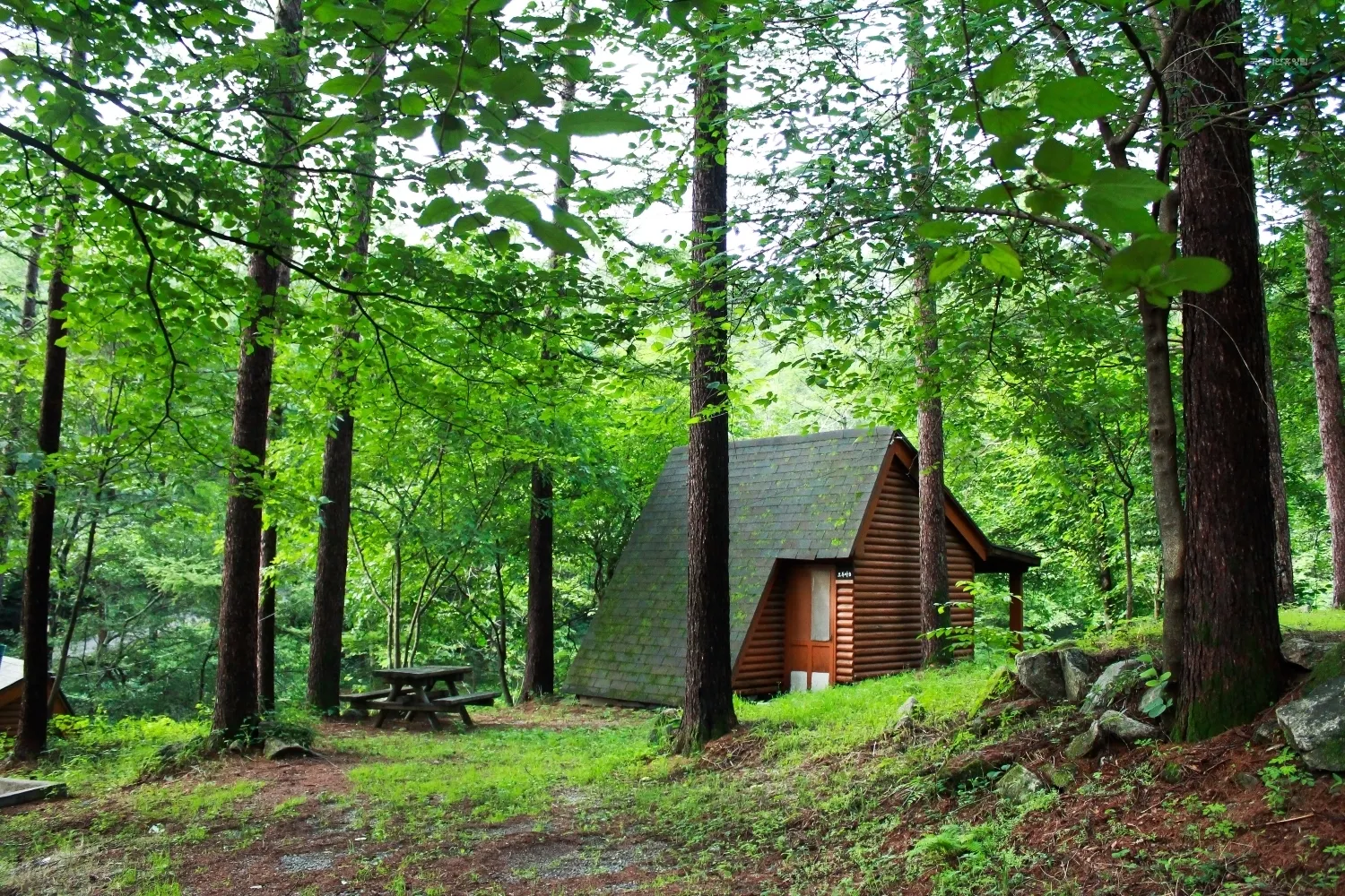 자연 속 힐링 2025년 국립자연휴양림 여름 명소 추천 3곳 완벽 여행_4