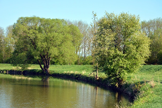 실패 후 다시 일어서는 법: 현실적인 가이드