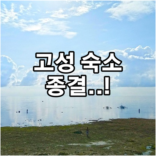 고성 금강산콘도 르네블루 포함 여행 ..