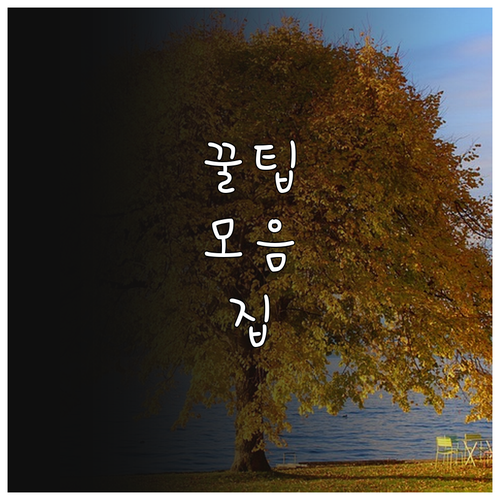 농가 소득 UP 2025 가평군 지원..