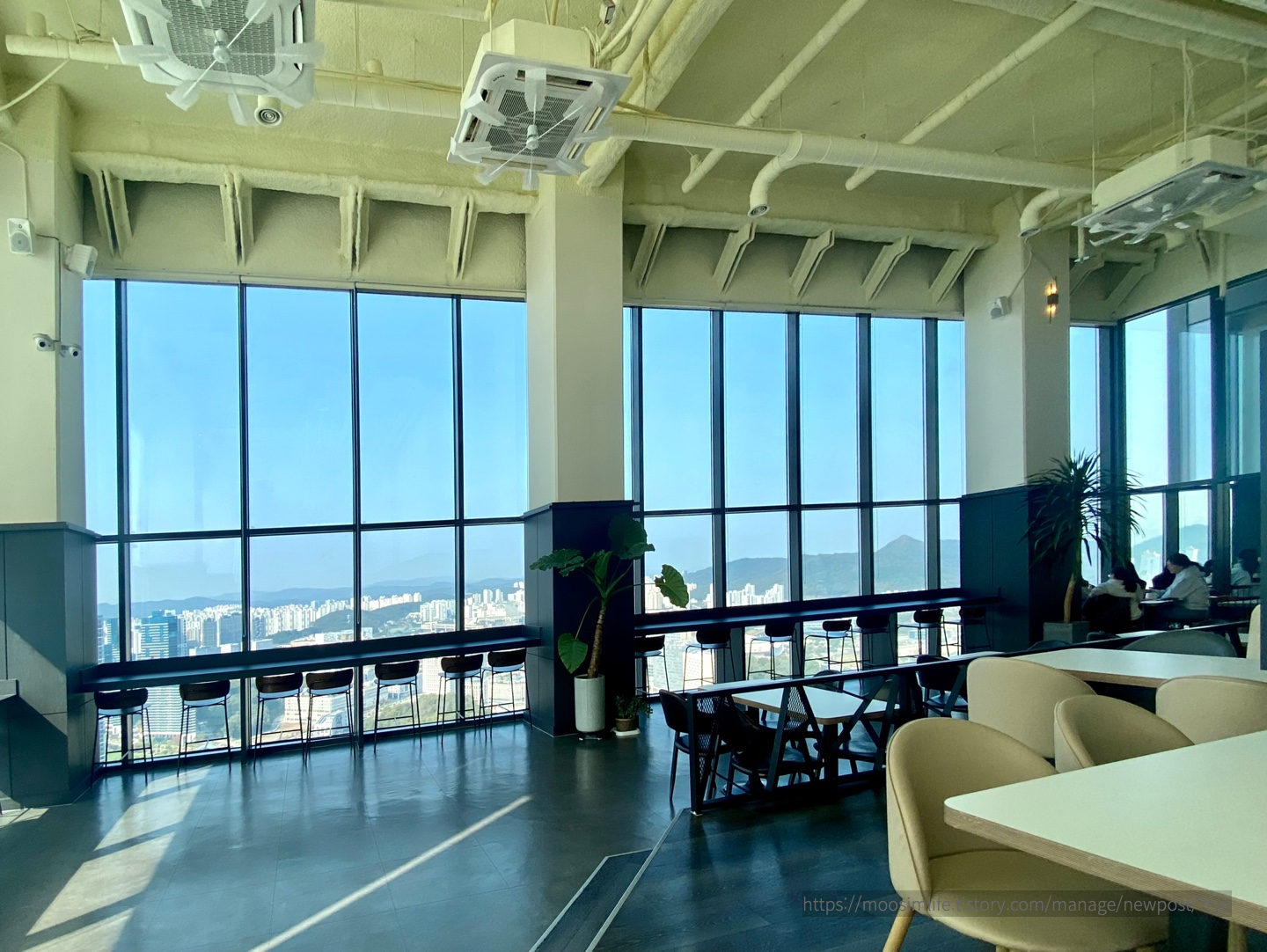 세종-49층-카페 플레져