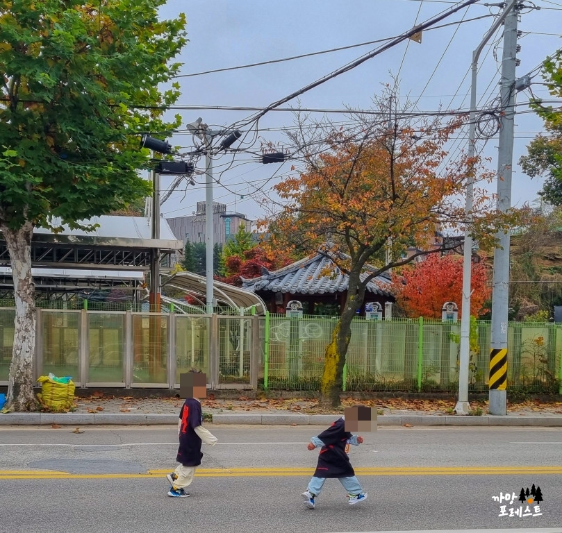춘천 마라톤 가족 참여