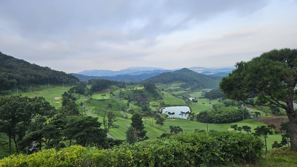 골프장 경험담 논산 아리스타CC 자연과 품격이 어우러진 명문 골프장, 완벽한 힐링 라운드