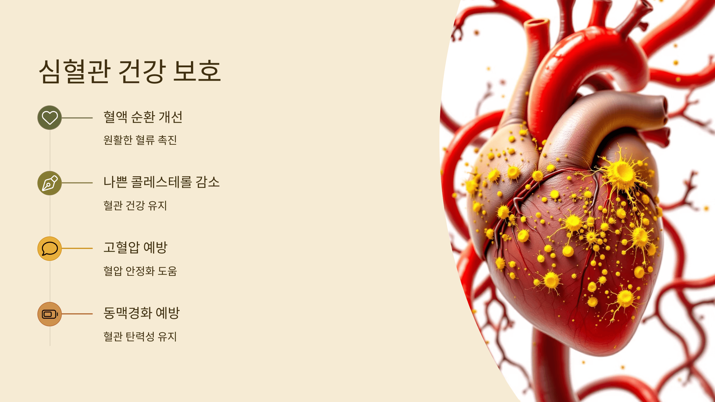 강황가루 사진입니다.