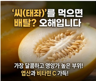참외 효능