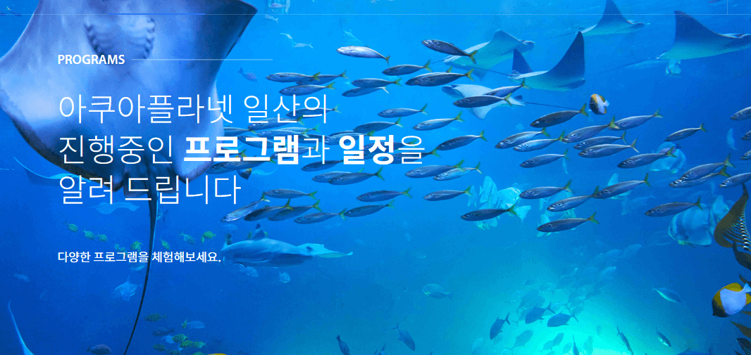 일산 아쿠아플라넷