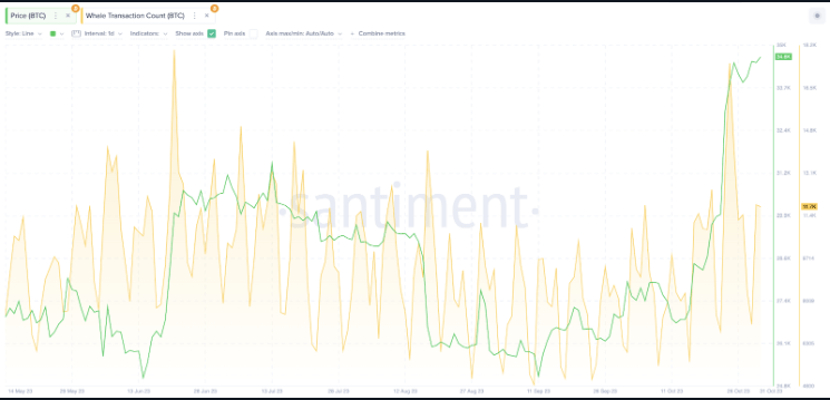 ๋นํธ์ฝ์ธ ๊ณ ๋ ๊ฑฐ๋์-๊ฐ๊ฒฉ-์ด๋ฏธ์ง