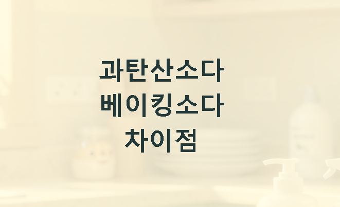 과탄산소다와 베이킹소다 차이점