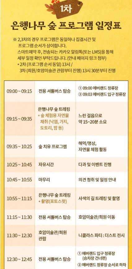 에버랜드 은행나무숲 예약,정보,일정