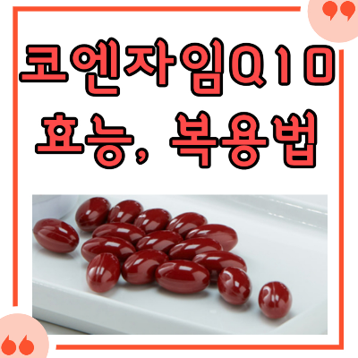 코엔자임큐텐의효능