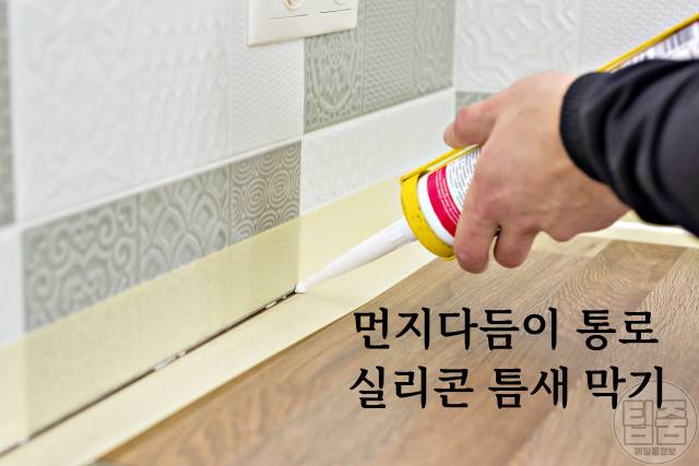 먼지다듬이 퇴치 살충제 먼지다듬이박멸