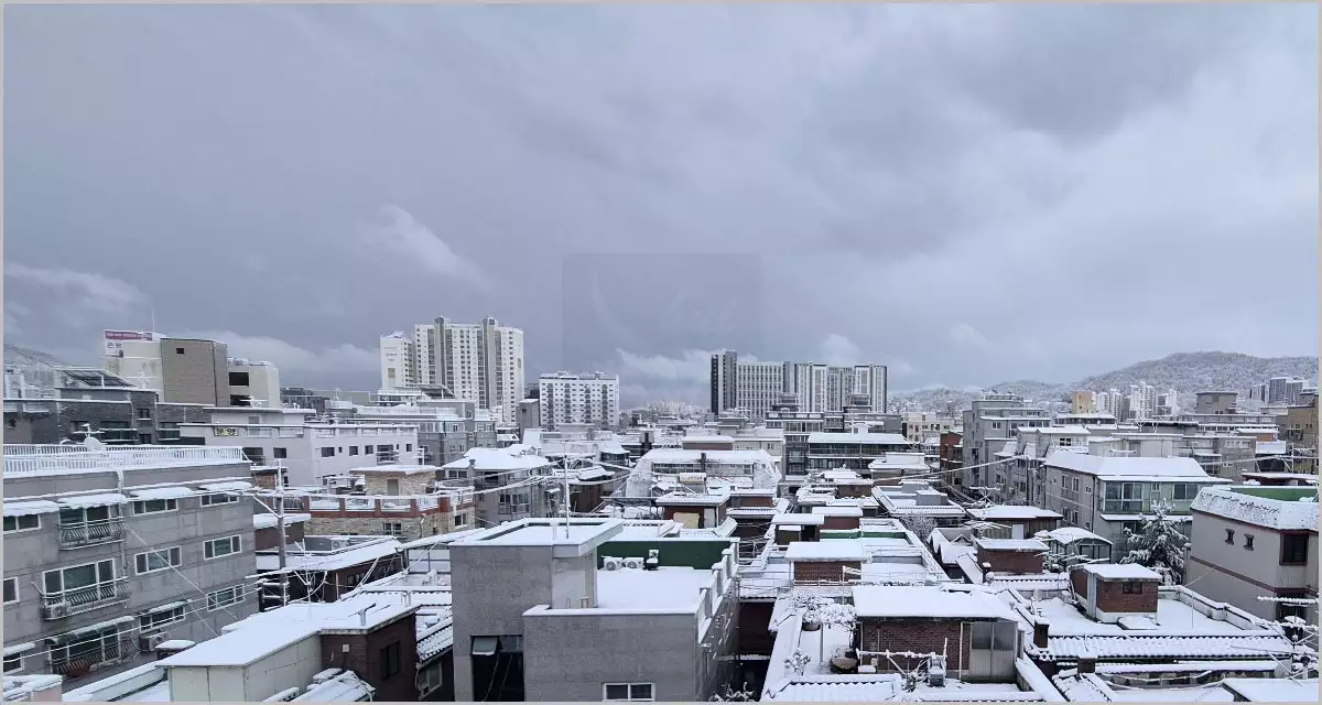 눈 온 아침풍경