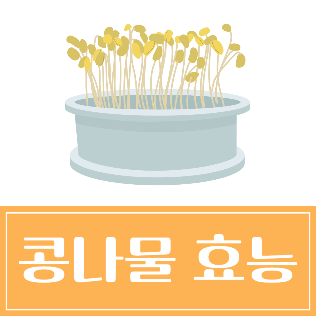 콩나물 효능 부작용