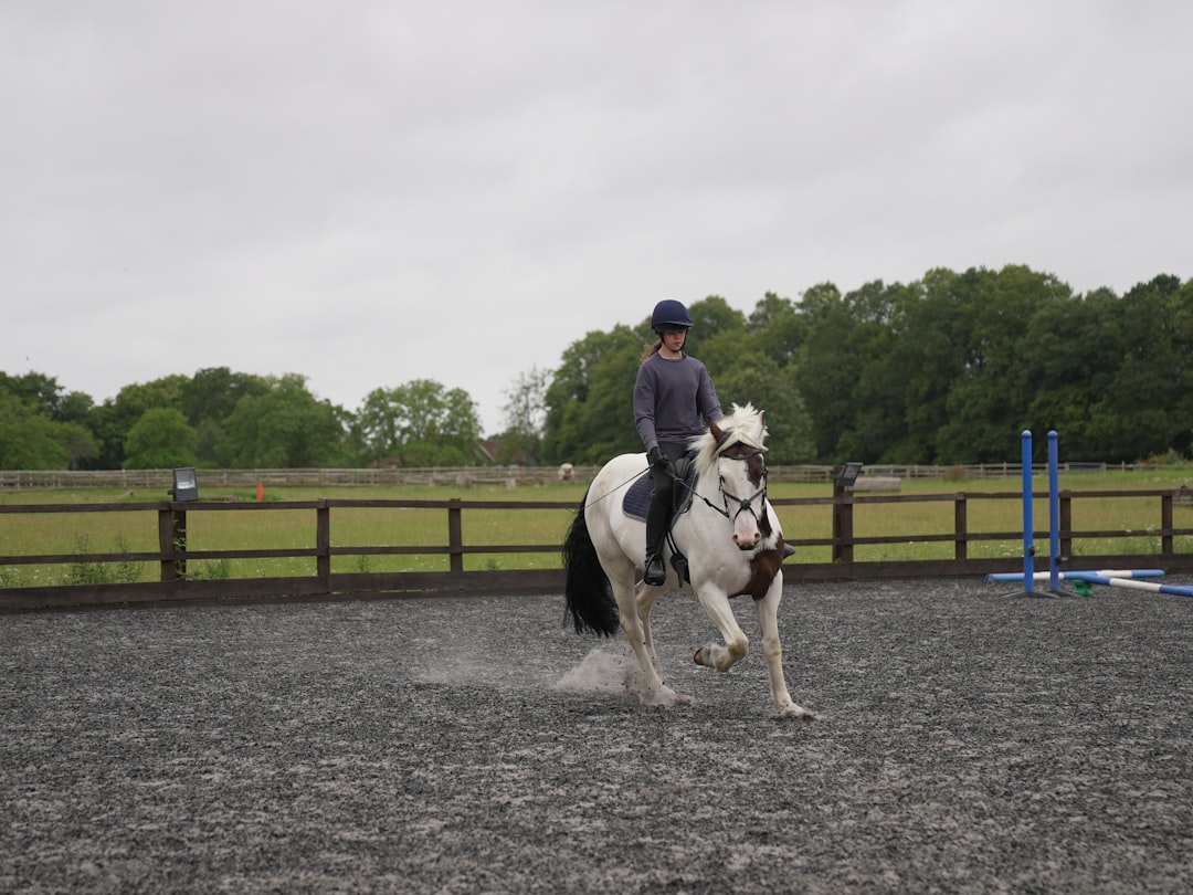 Trot
