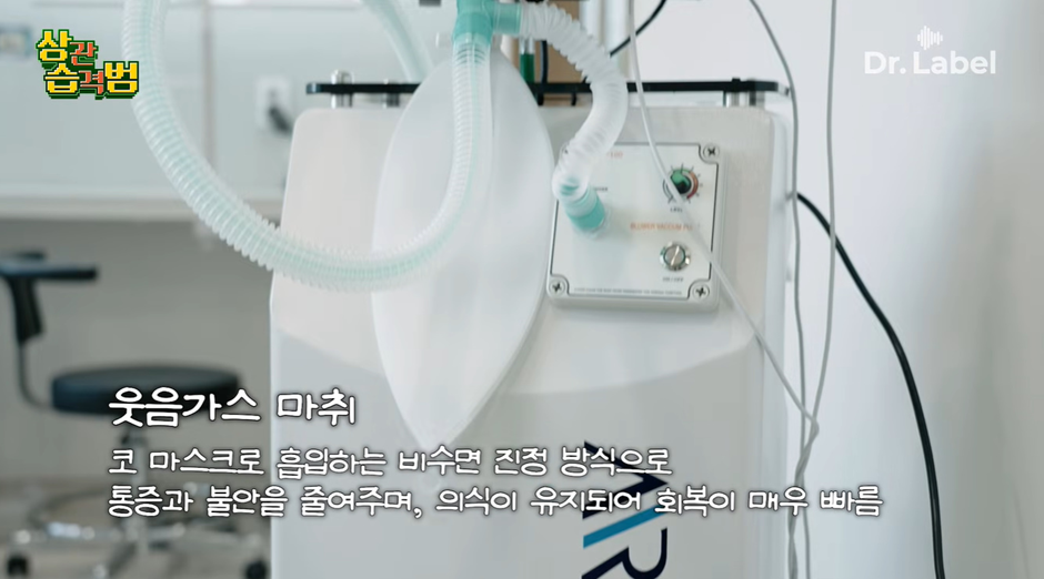 요새 생각보다 많은 여성들이 한다는 모발이식 시술 | 인스티즈