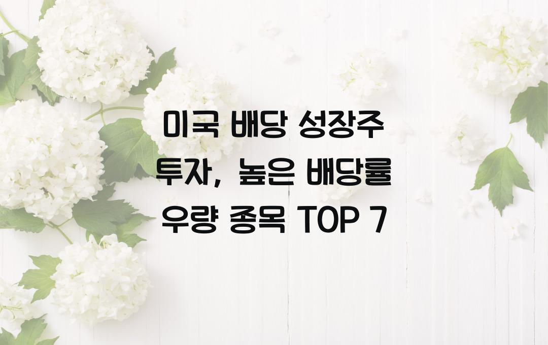 미국 배당 성장주 투자, 배당률 높은 우량 종목 TOP 7