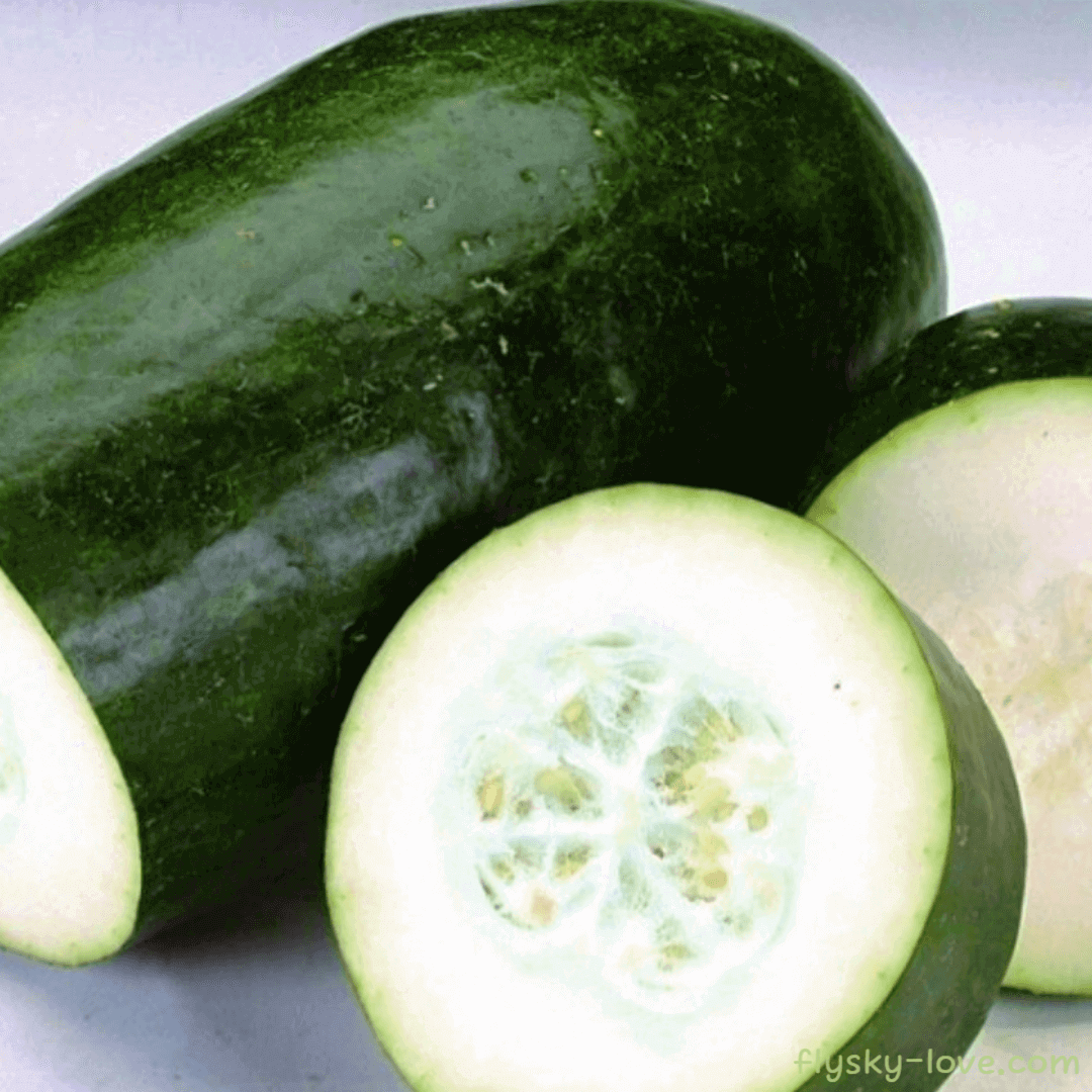 동과 (Winter Melon) 효능