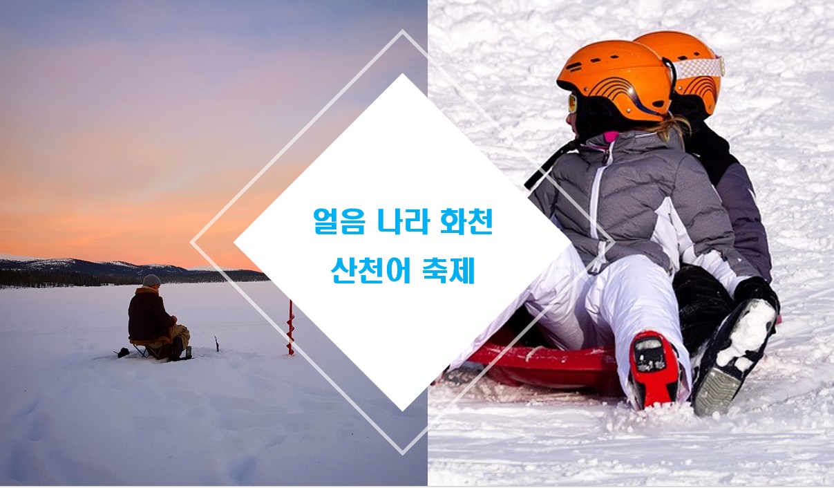 화천 산천어 축제
