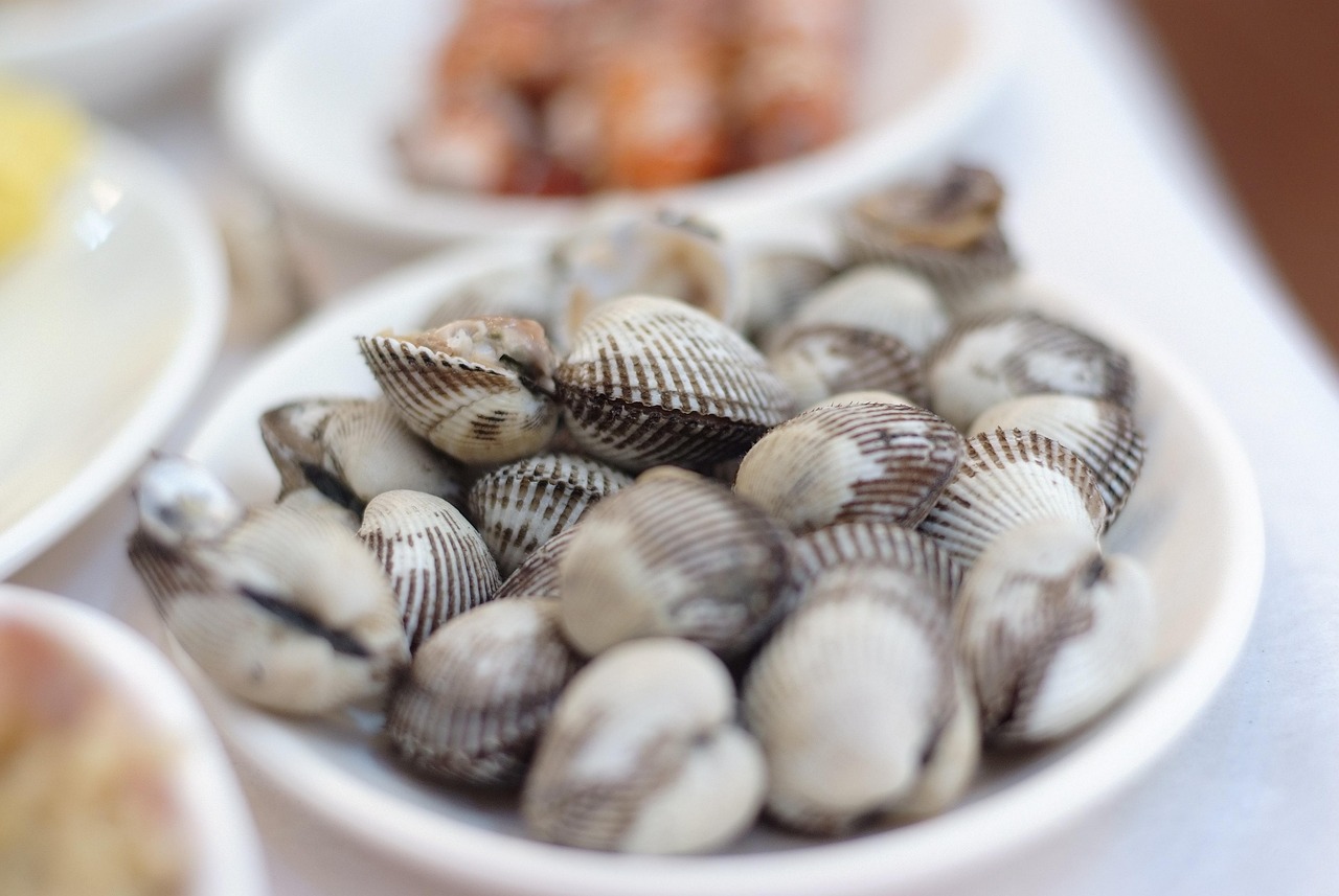 전남 벌교읍 꼬막거리, 청년들이 만든 공간이 되살렸다