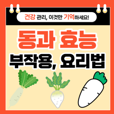 동과