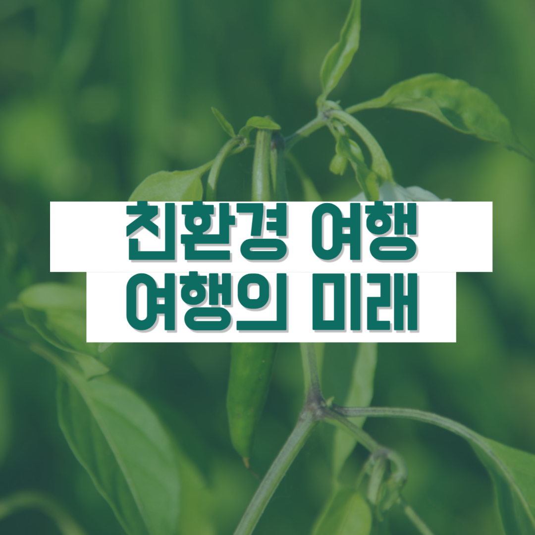 친환경 여행