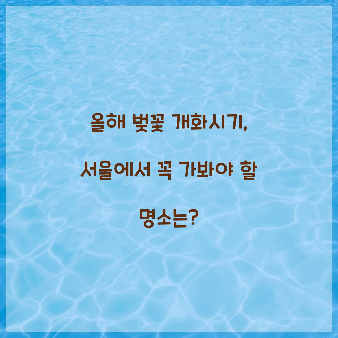 올해 벚꽃 개화시기