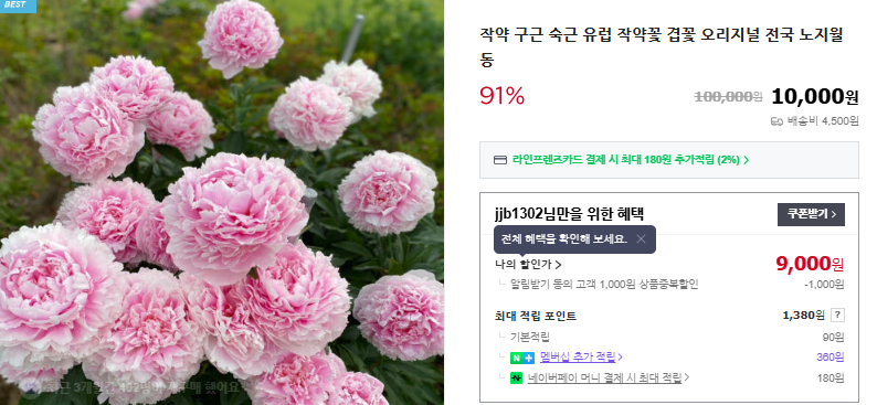 작약 5가지 효능 및 재배법 (+ 모종 판매 꽃말 축제)