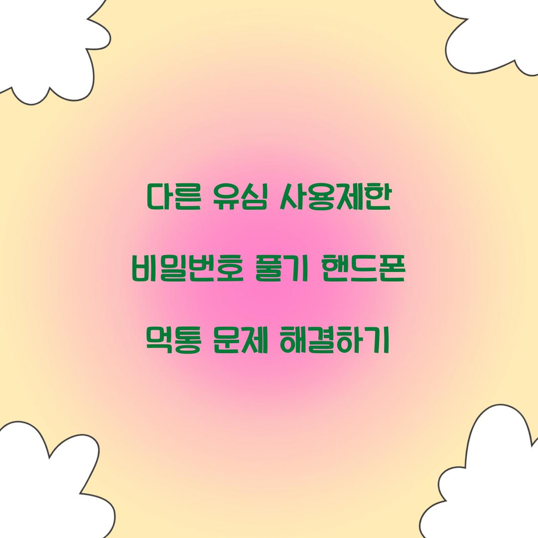 다른 유심 사용제한 비밀번호