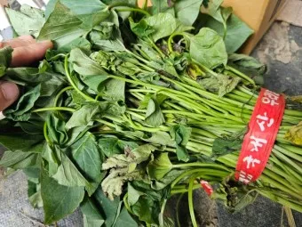 고구마순 볶음 레시피 꿀팁 레시피_18