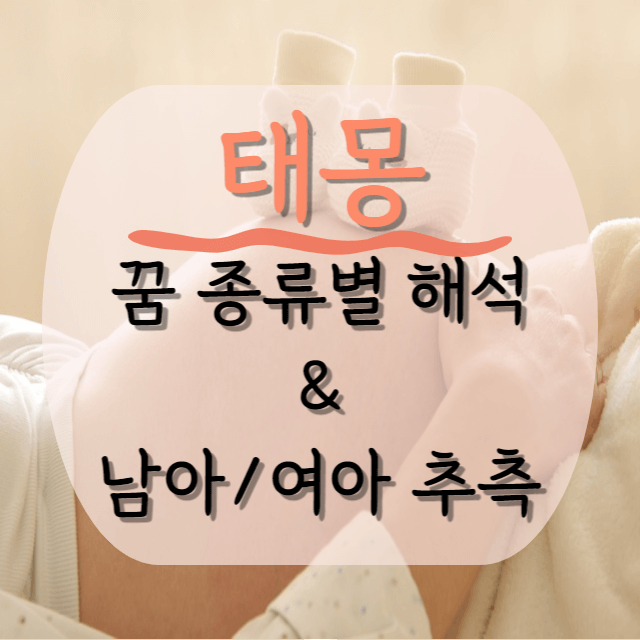 태몽-해석-안내-이미지