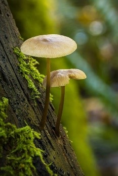 금연클리닉 신청 방법