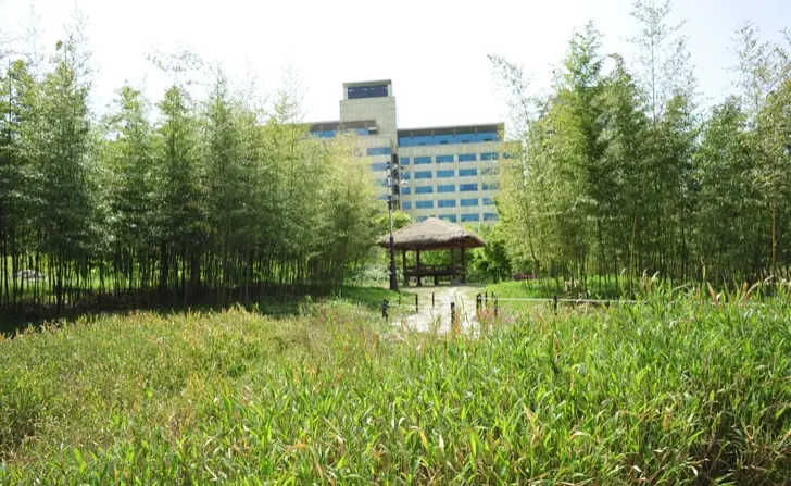 대전-한밭수목원-입장료-주차-요금-관람시간