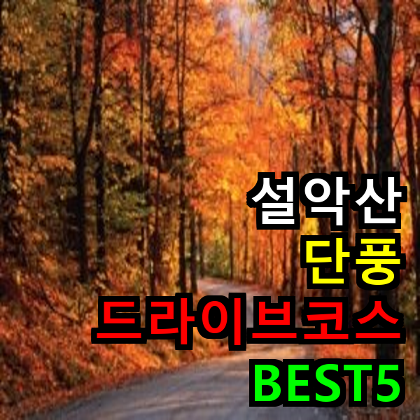 설악산 단풍 드라이브코스