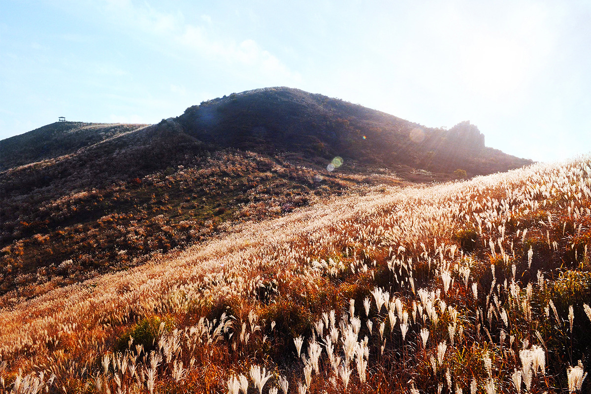 2024 황매산 억새축제