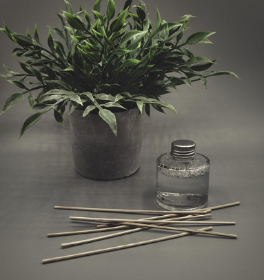 학생들을 위한 멘톨 향 활용법 학습 능률을 높이는 방법