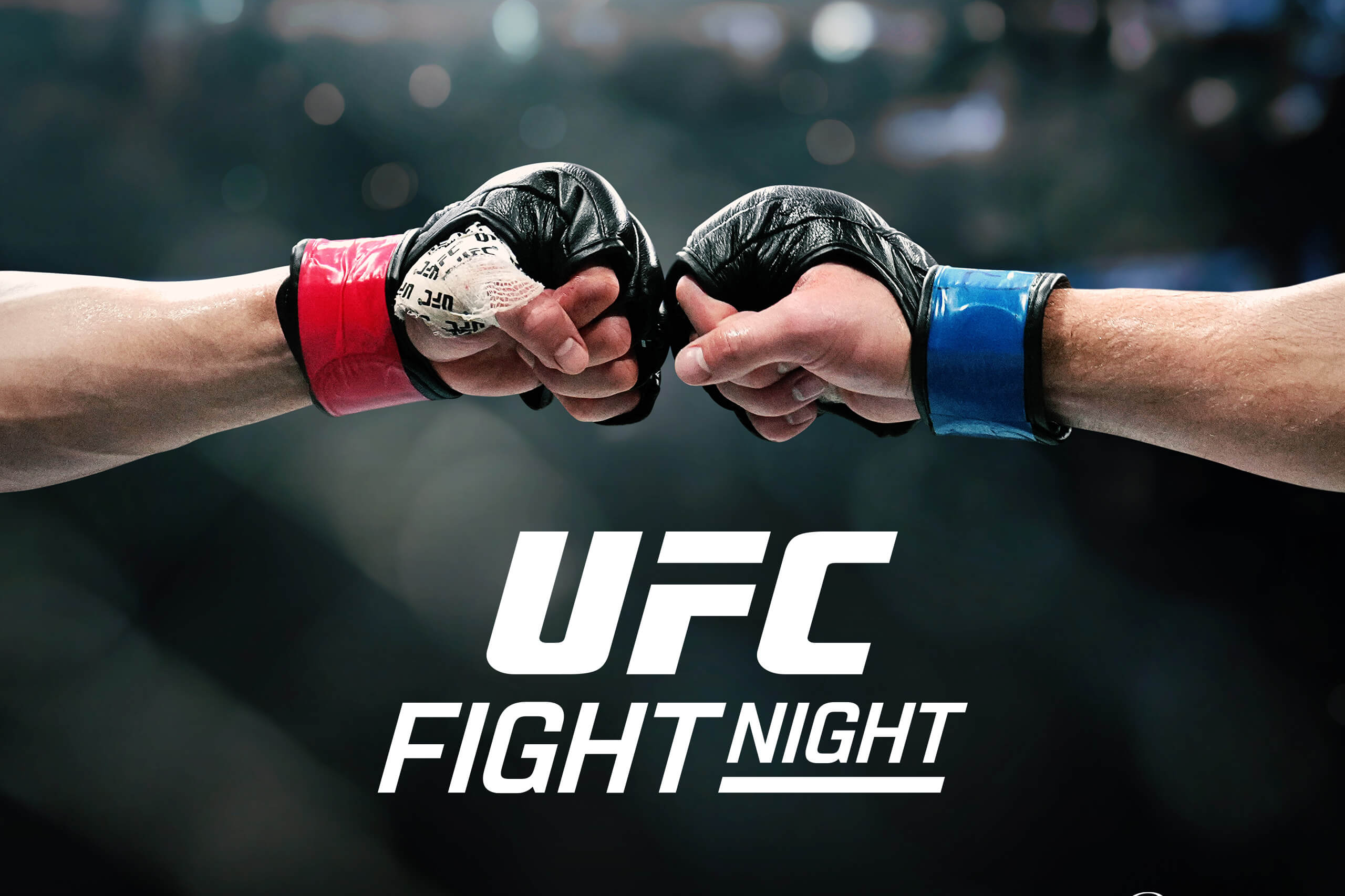 UFC 파이트 나이트 경기일정 중계 대진표 한국선수 하이라이트