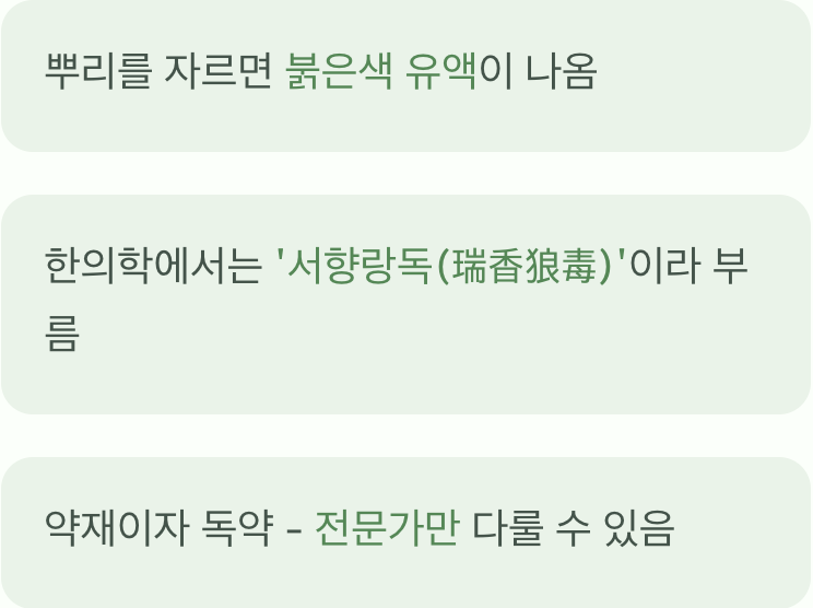 '피뿌리'라는 무서운 이름의 유래