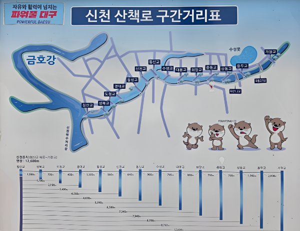 대구 신천 상류 중류 하류 밝기가 안전성에 준 영향