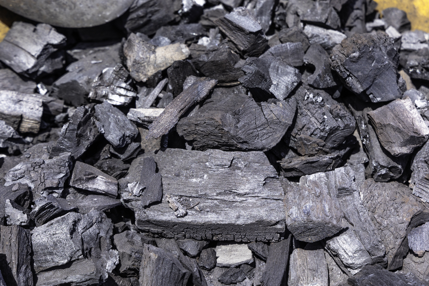 하와이 훌리훌리 치킨 숯