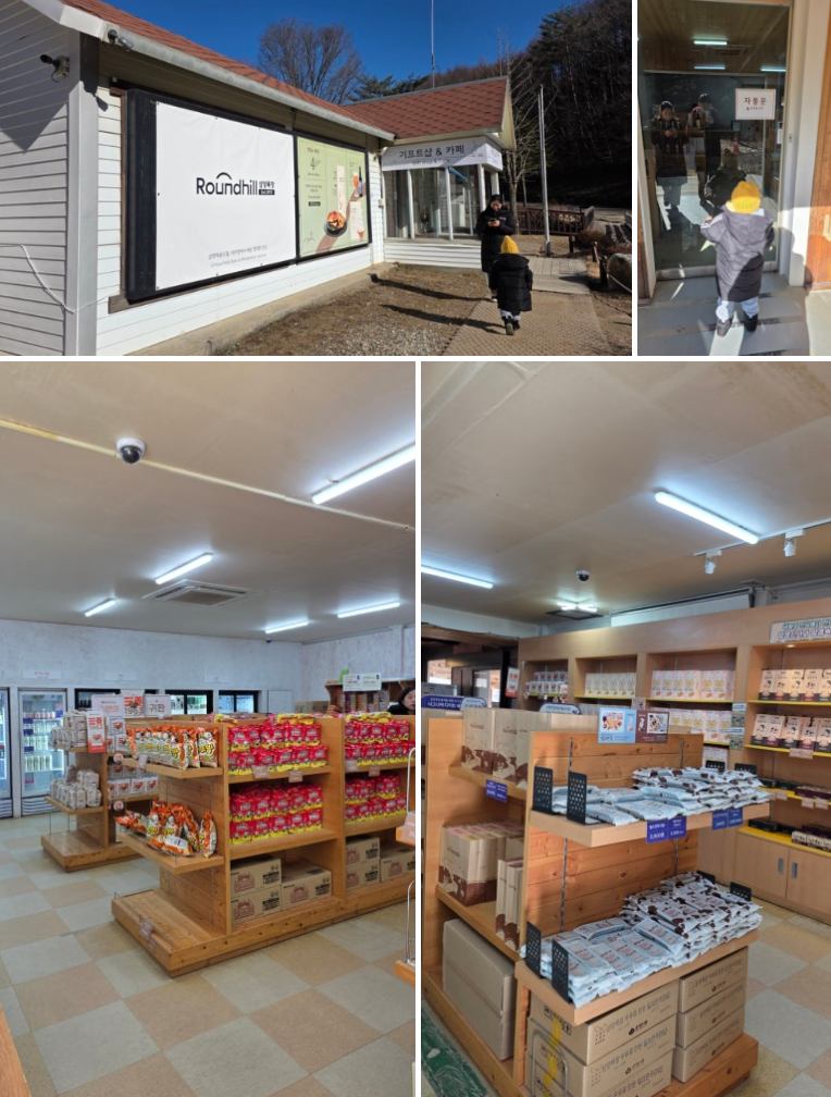 5세 아이와 함께한 대관령 삼양라운드힐