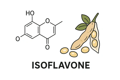 이소플라븐