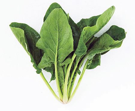 비타민d 부족증상