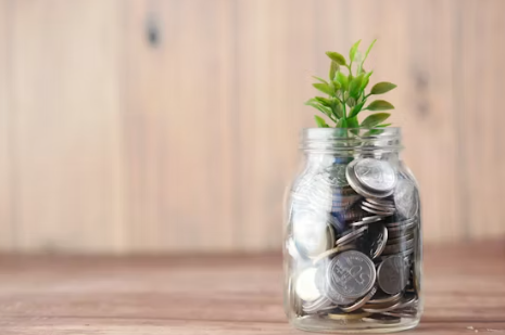 소비쿠폰 사용처