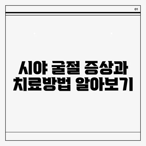 시야 굴절 증상과 치료방법 알아보기