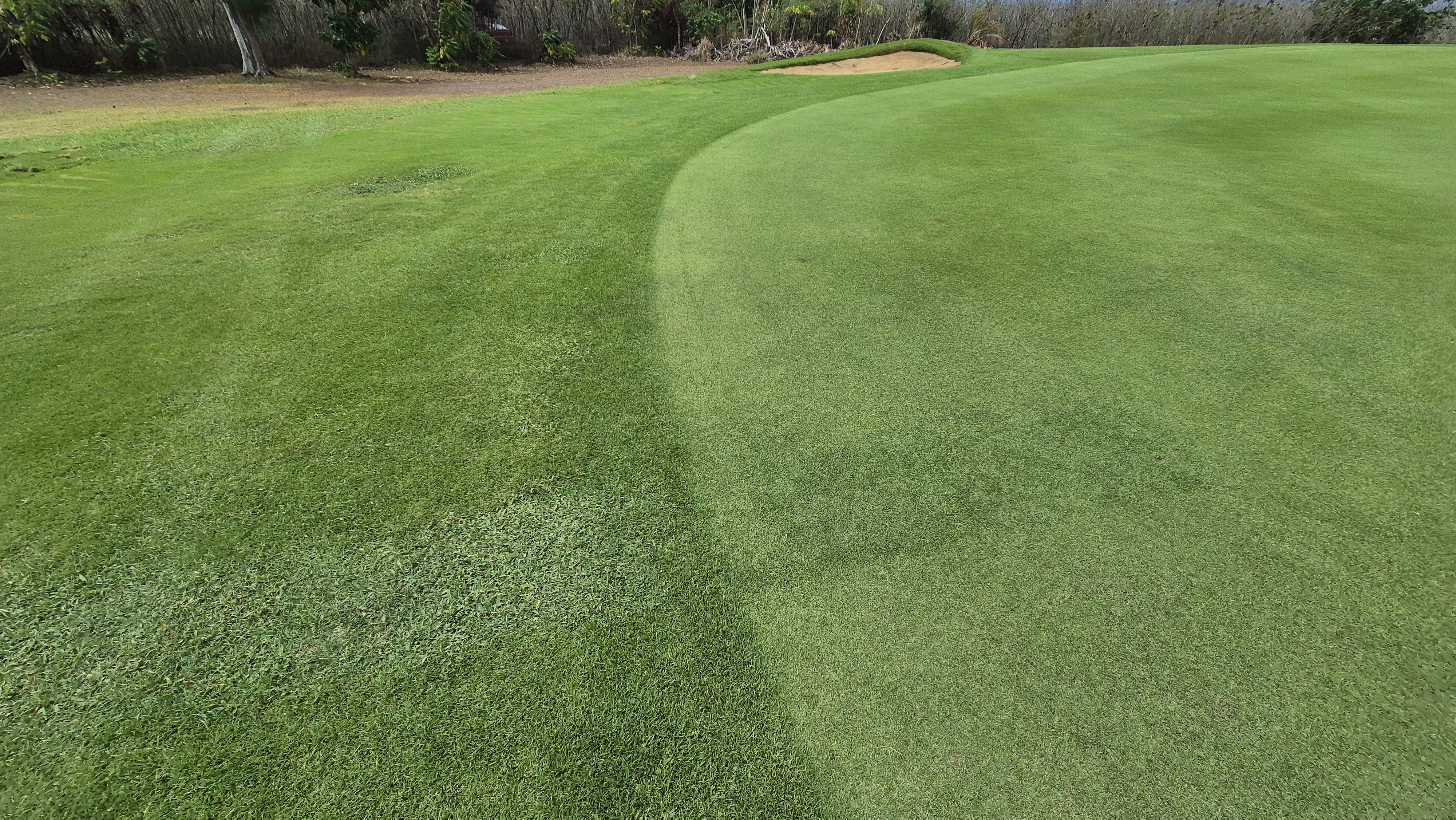 코랄오션cc 골프 라운드