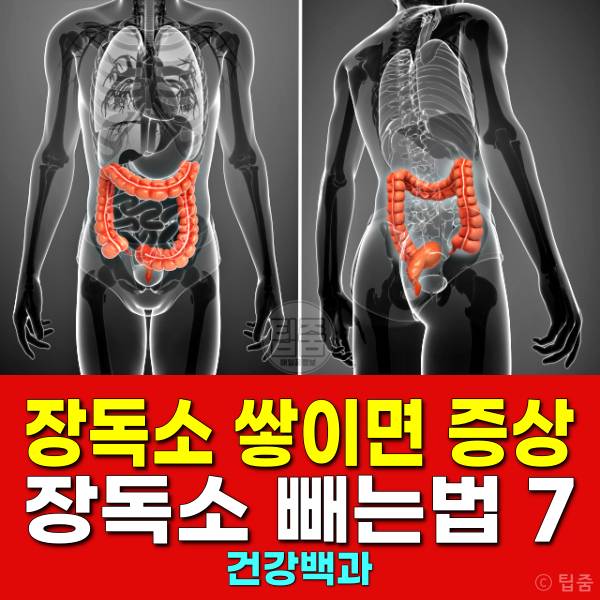 장독소 증상 장독소 빼는법
