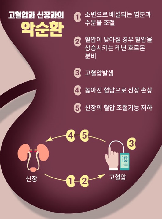 혈압이 높은 사람&#44; 과격한 운동 조심?: 우리가 잘 모르는 것들